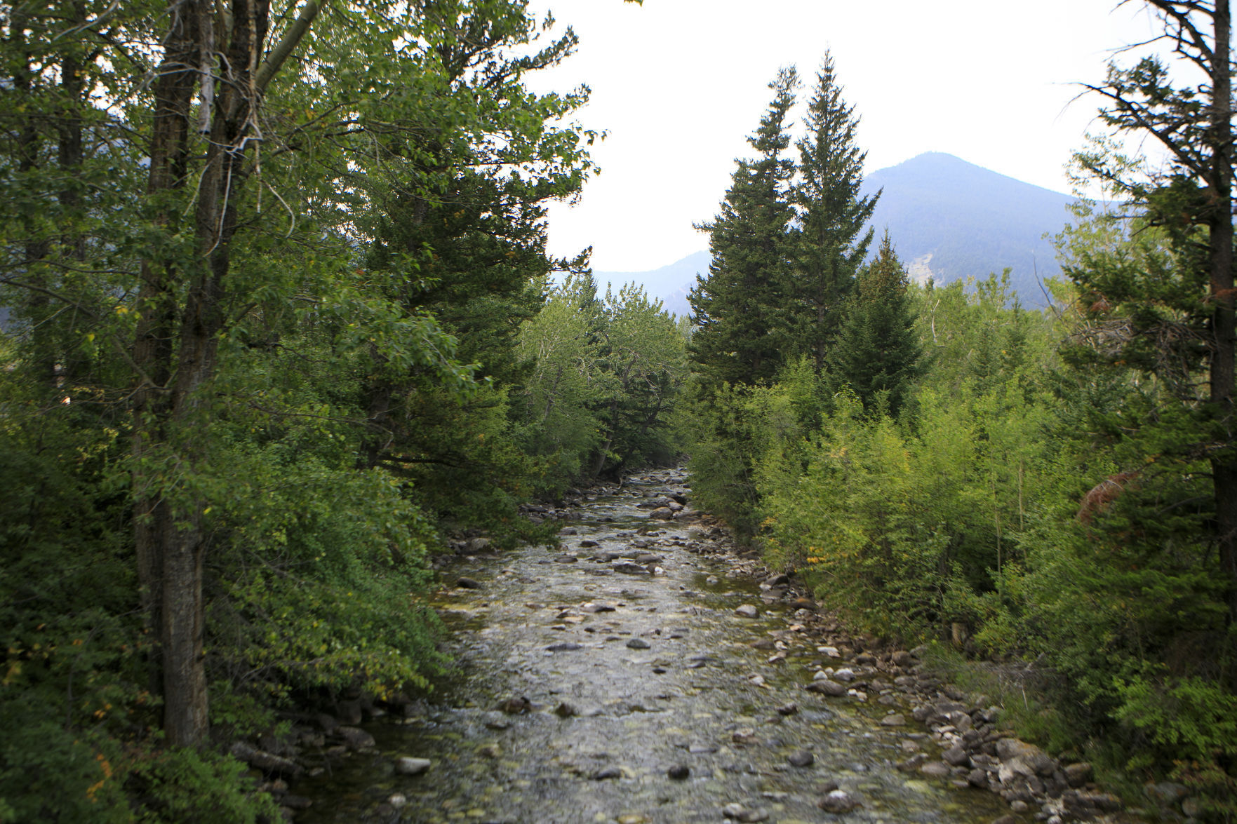 East Boulder River